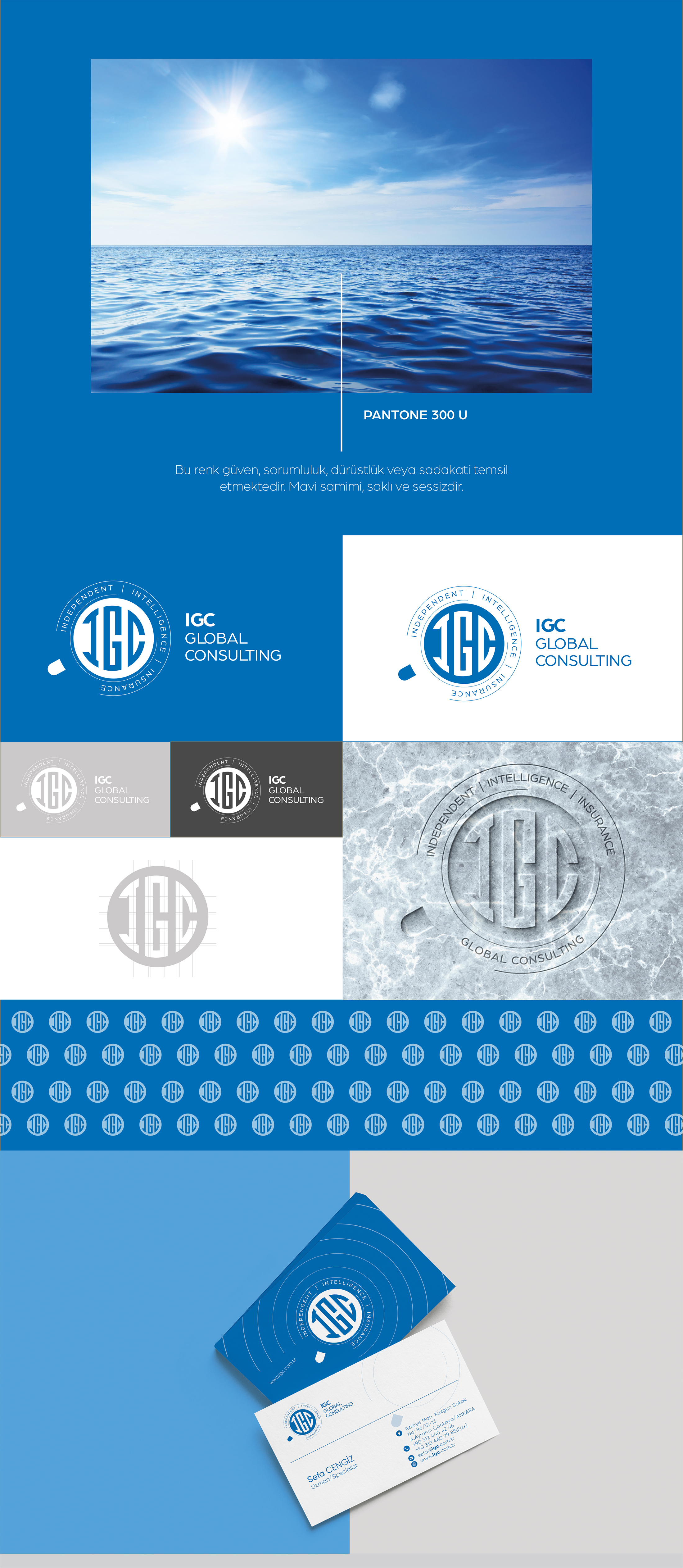 Ankara kurumsal kimlik tasarımı  IGC Global Consulting