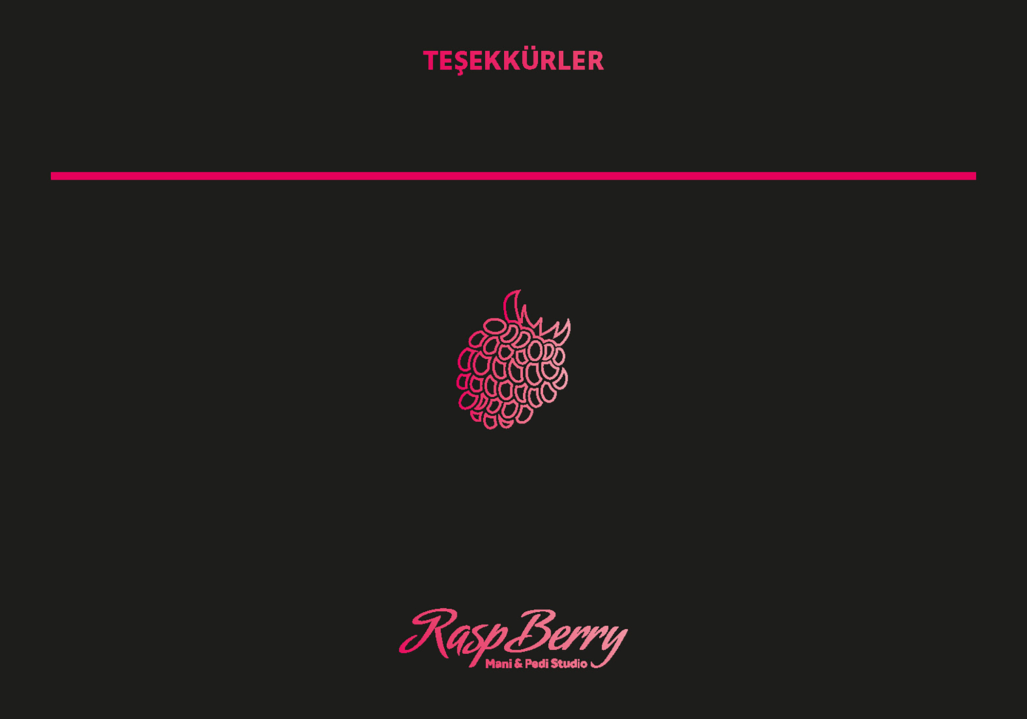 Ankara kurumsal kimlik tasarımı  Raspberry