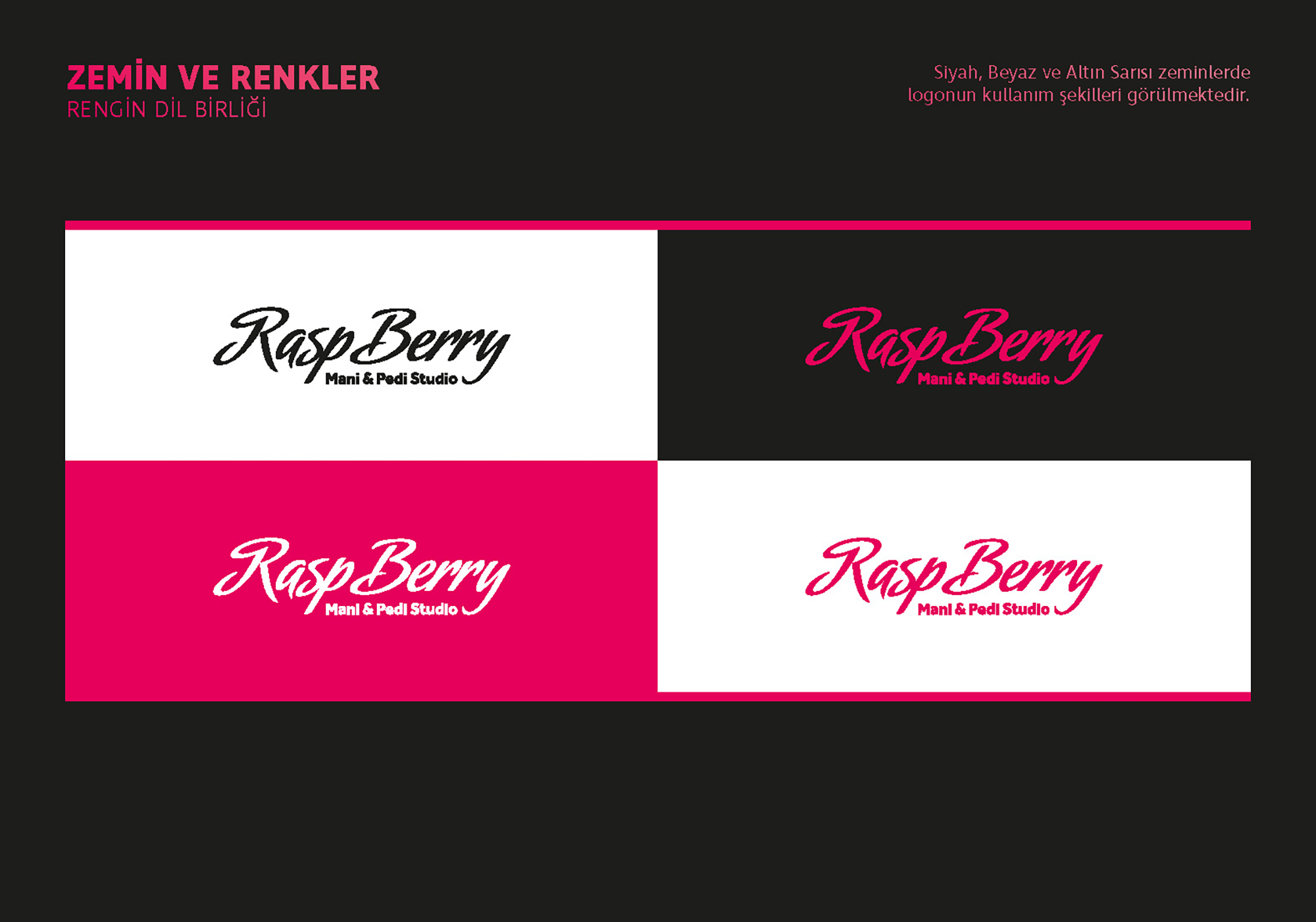 Ankara kurumsal kimlik tasarımı  Raspberry